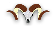 D&L Outfitters